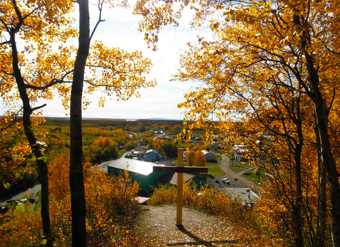 Recent News & Updates