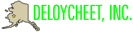 Deloycheet, Inc.