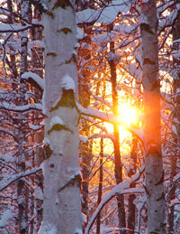 slideshowimage11.jpg